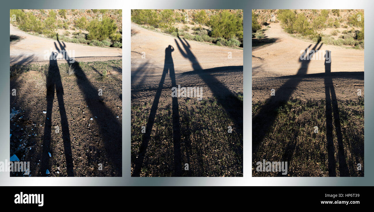 Gesellig Kaktus Fotocollage Shooting Schatten Stockfoto