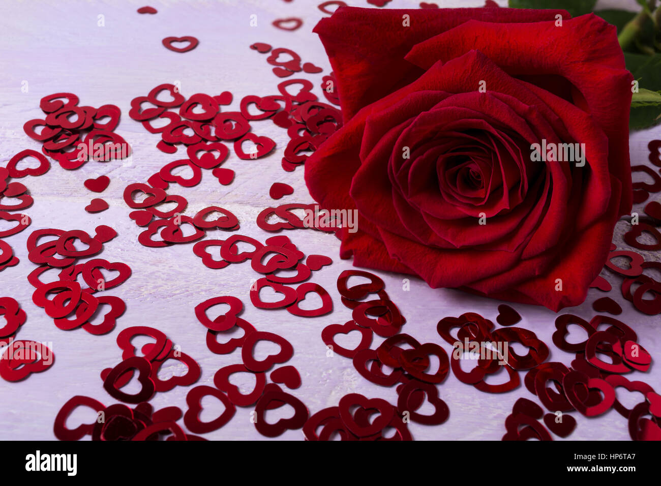 Verlieben Sie sich in Liebe Konzept mit schönen roten Rose auf dem kleinen Herzen Hintergrund. Elegante Hochzeitseinladung. Valentinstag-Grußkarte. Kopieren Sie Raum. Stockfoto