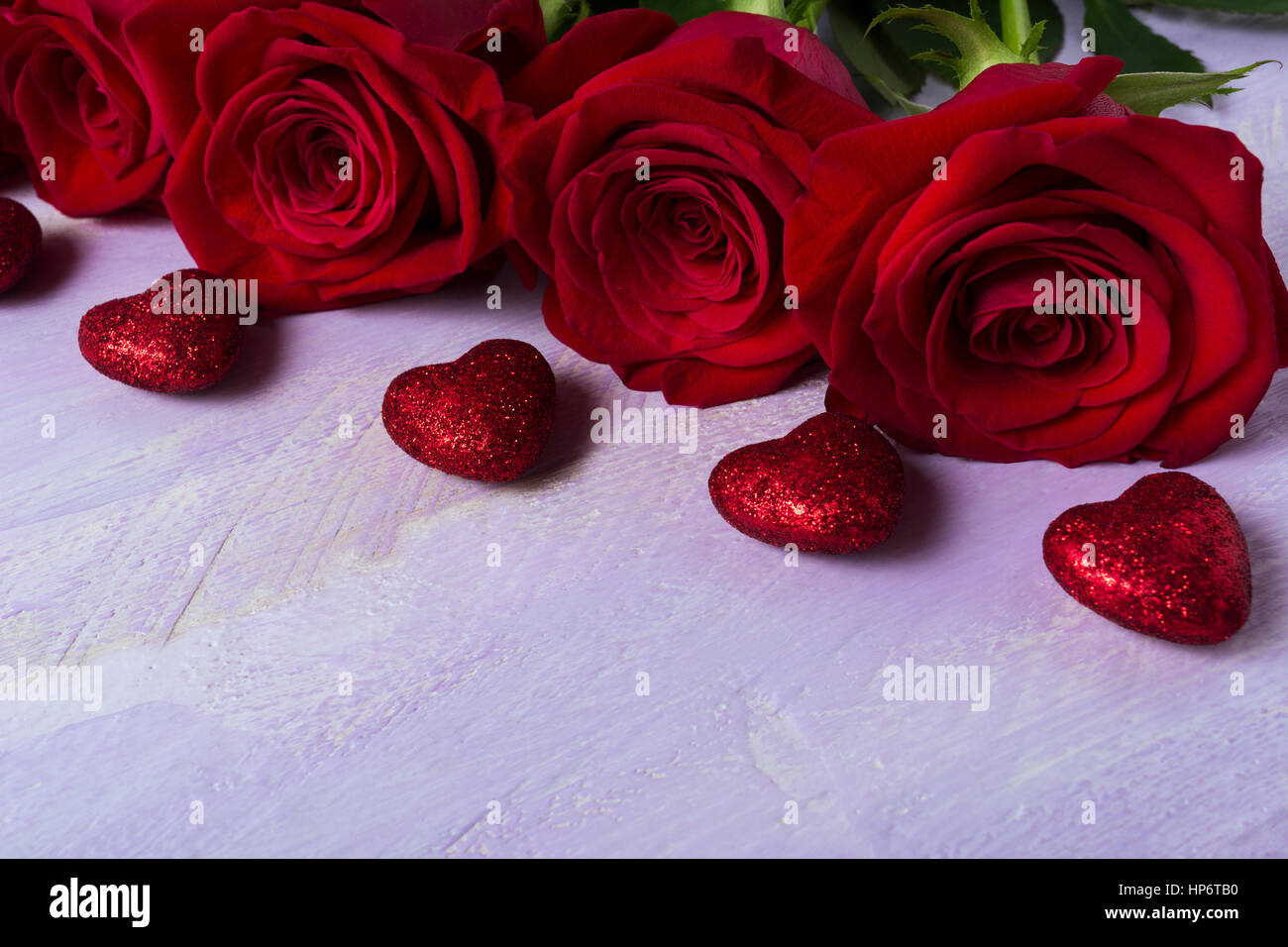 Burgunder Rosen auf lila Hintergrund. St. Valentine Day rotes Herz Grußkarte. Elegante Hochzeitseinladung. Kopieren Sie Raum. Verwendet, um Liebe, Leidenschaft symbolisieren Stockfoto