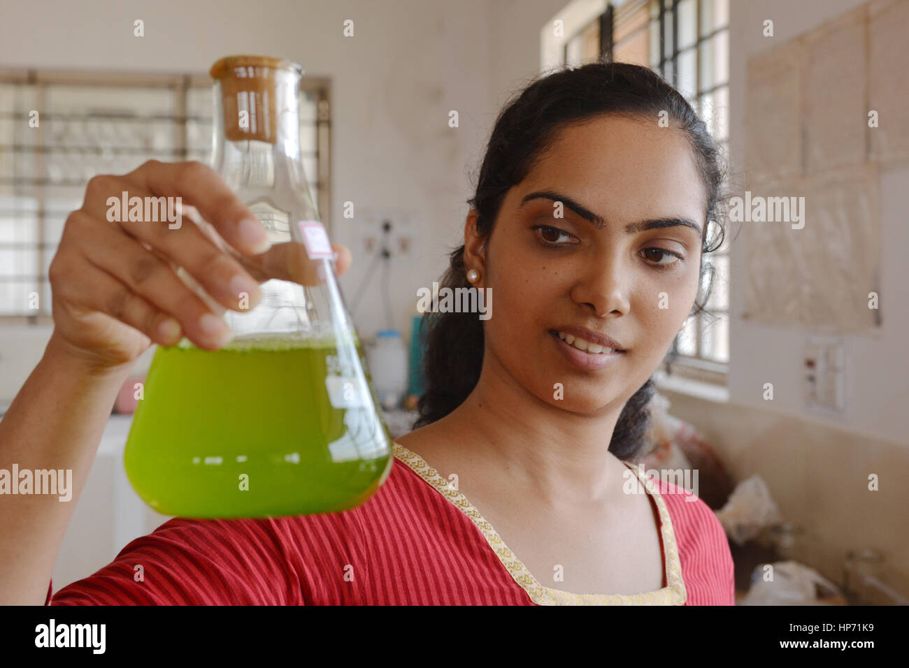 Mumbai, Indien - 28. Oktober 2015 - Frau, die Algen in Reagenzglas, ein Ergebnis der biogenetischen Forschung im Reagenzglas im indischen Labor Stockfoto