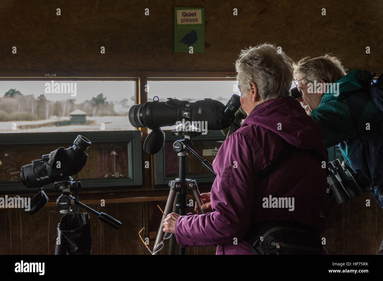 Keen eyed Twitchers (Ornithologen) Stockfoto