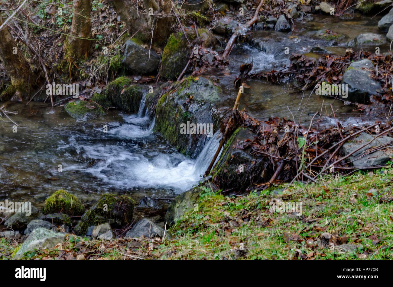Schöne Bewegung verwischt Stream Wasserlandschaft in den Winterwald nah auf Vitosha Berg, Bulgarien Stockfoto
