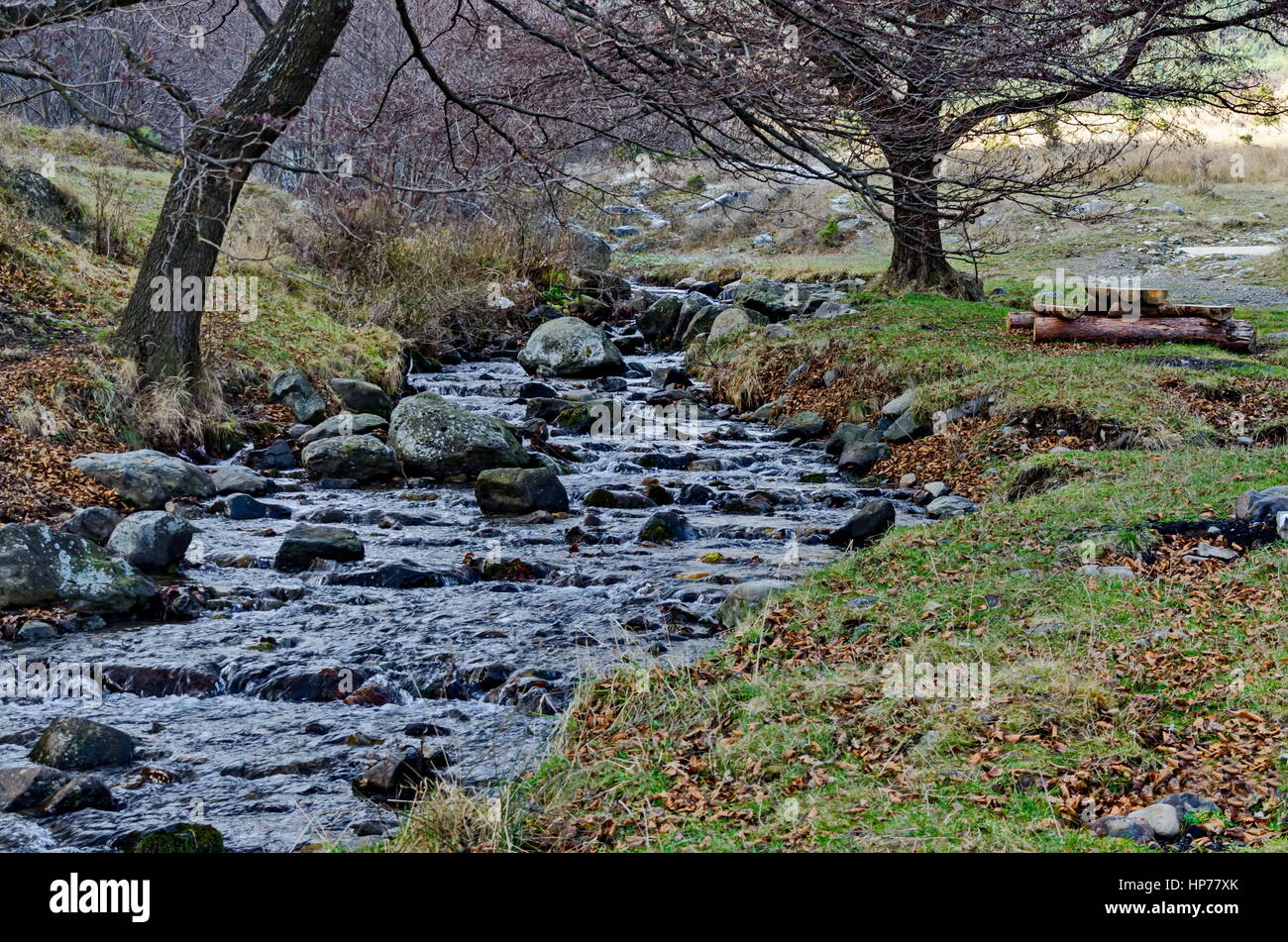 Schöne Bewegung verwischt Stream Wasserlandschaft in den Winterwald nah auf Vitosha Berg, Bulgarien Stockfoto