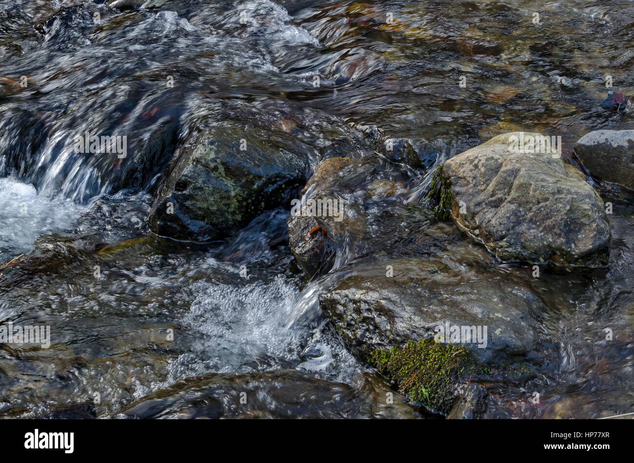 Schöne Bewegung verwischt Stream Wasserlandschaft in den Winterwald nah auf Vitosha Berg, Bulgarien Stockfoto