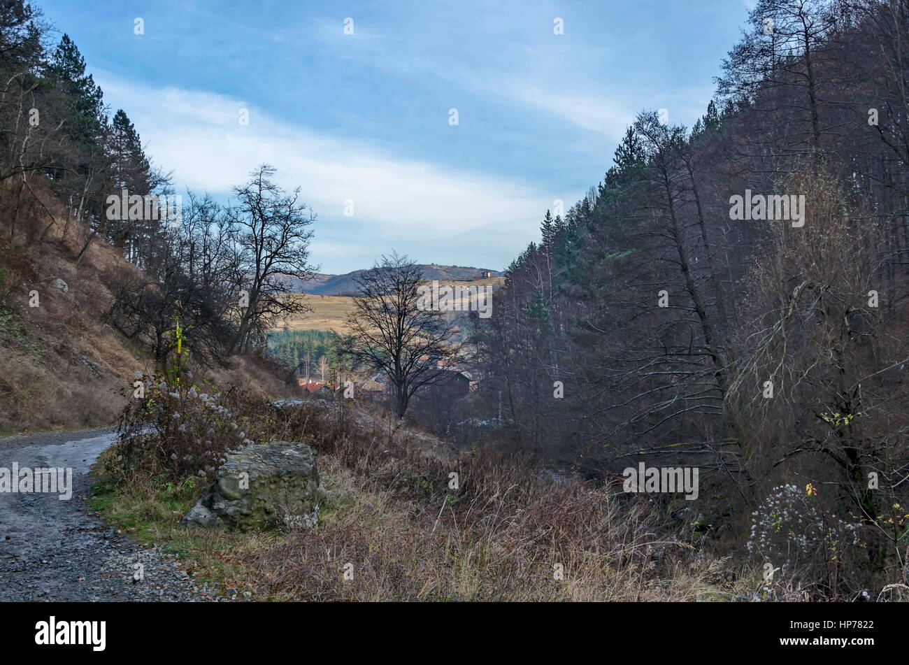 Panorama der ökologischen gefrorenen Weg durch Winterwald, Vitosha Berg, Bulgarien Stockfoto