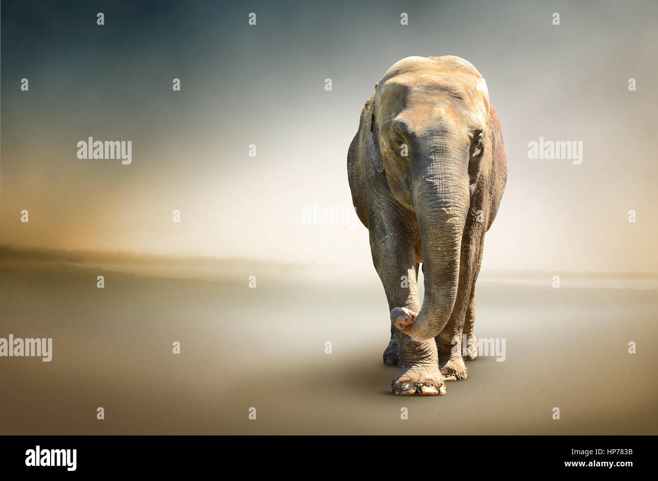 Elefant. Tier-Konzept für Hintergrund, Web-Banner, Werbematerialien, canvas Print, Plakat, Präsentationsvorlagen, Werbung. Stockfoto