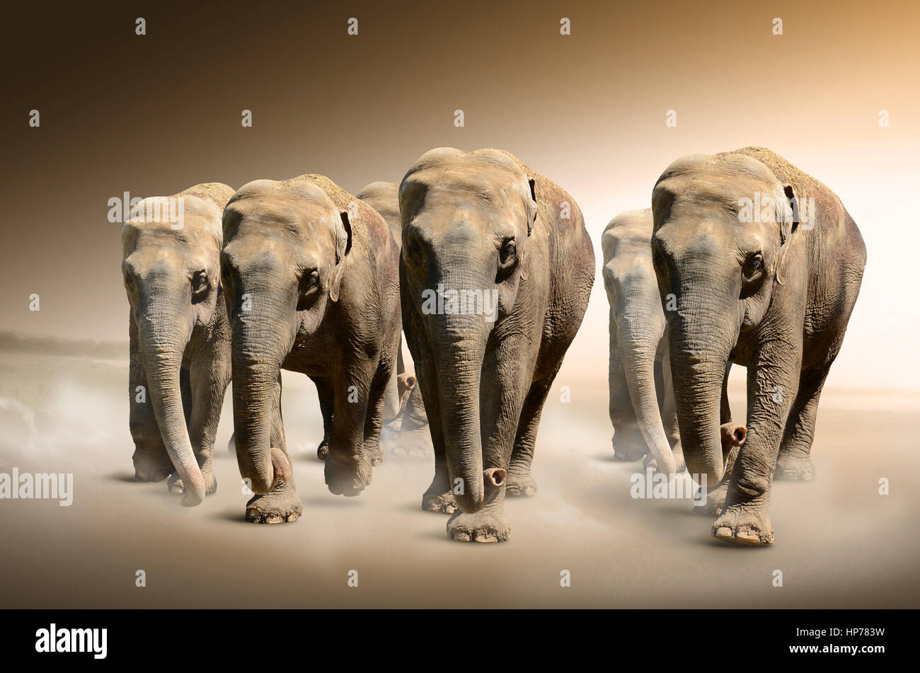 Herde von Elefanten. Tier-Konzept für Hintergrund, Web-Banner, Werbung, Werbematerialien, Leinwand drucken, Präsentationsvorlage. Stockfoto
