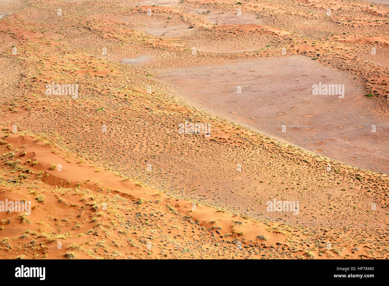 Fairy Circles, Sesriem, Sossusvlei, Namib-Naukluft-Nationalpark, Namibia, Afrika Stockfoto