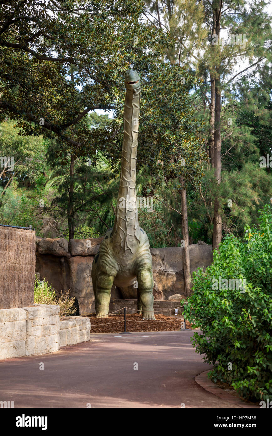 Vorne stehend Argentinosaurus Modell im Zoo von Perth im Rahmen der Zoorassic Ausstellung anzeigen Ähnlich wie Diplodocus und Brontosaurus Stockfoto
