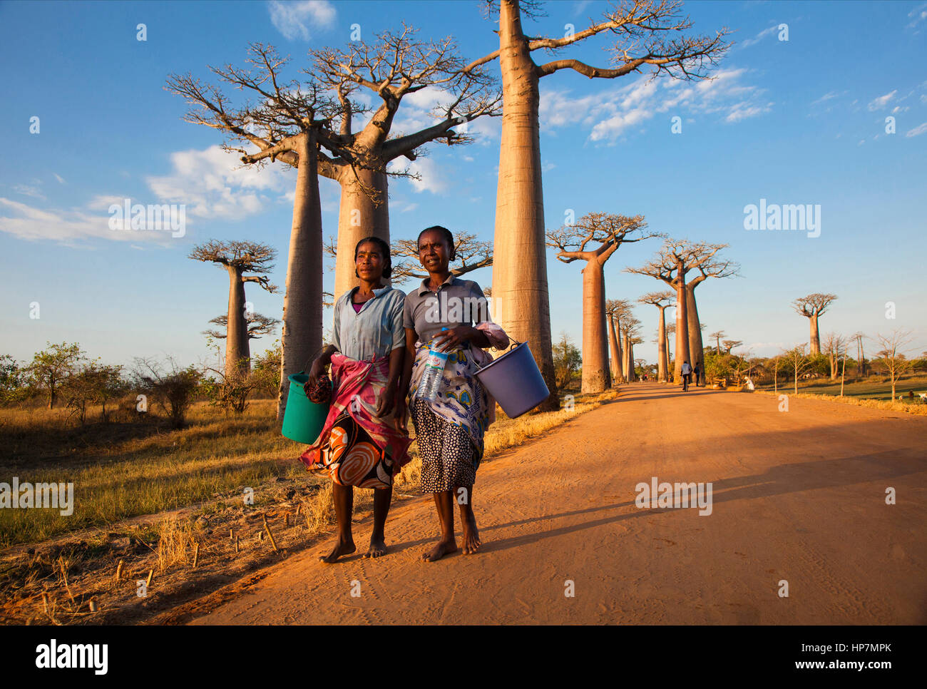 Madagassische Frauen an der Allee der Baobabs, Morondava, Baobab Allee, Adansonia grandidieri, westlichen Madagaskar, von Monika Hrdinova/Dembinsky Foto Assoc Stockfoto