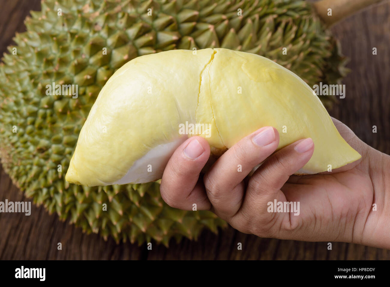 Closeup gelbe Durian Lappen in der hand Stockfoto