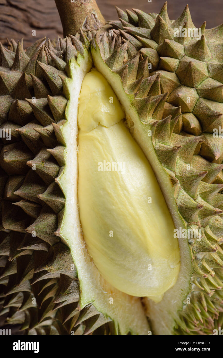 gelbe Durian in Seite Mon Thong Durian Frucht Stockfoto