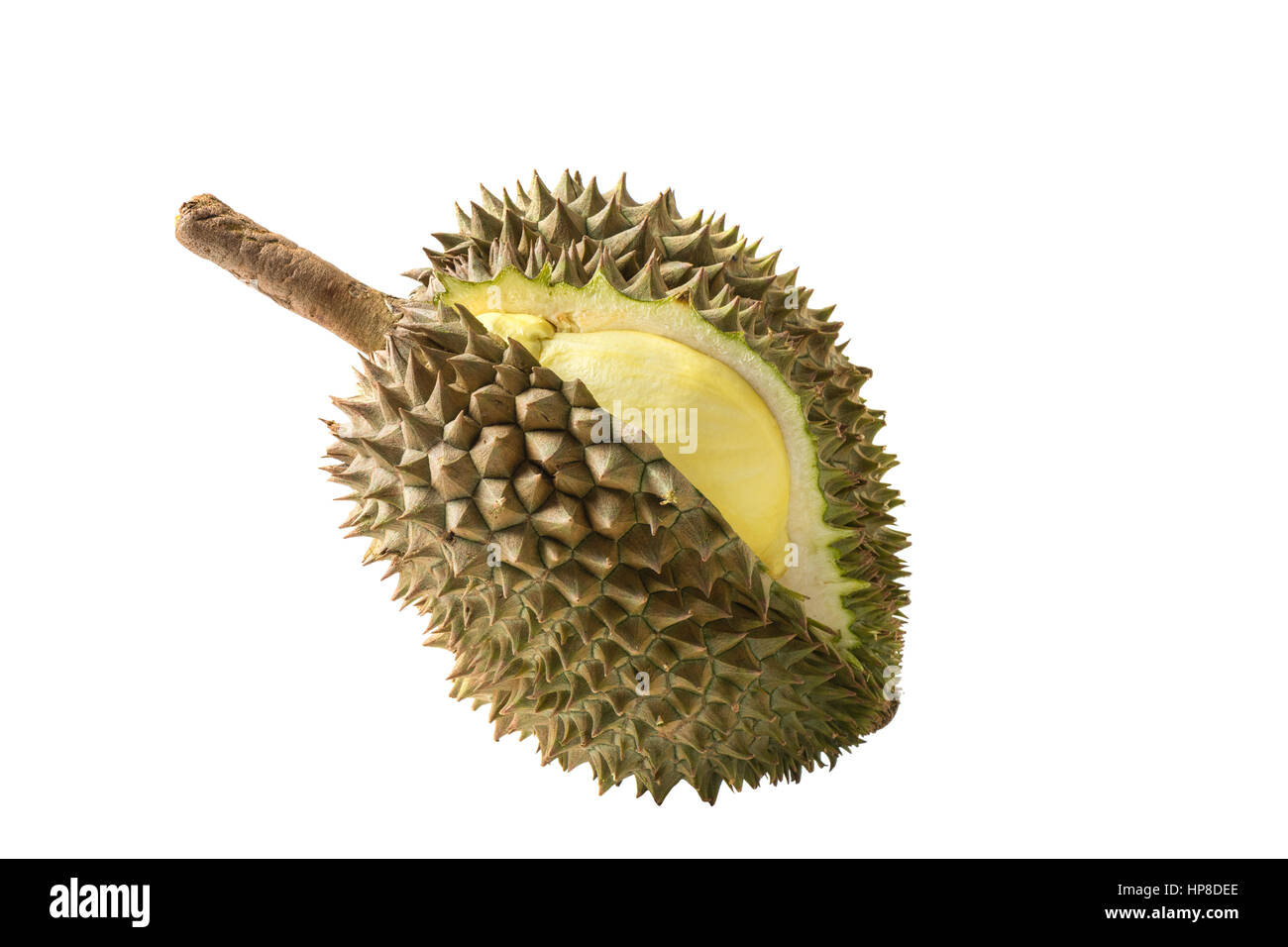 gelbe Durian in Seite Mon Thong Durian Frucht auf weißem Hintergrund Stockfoto