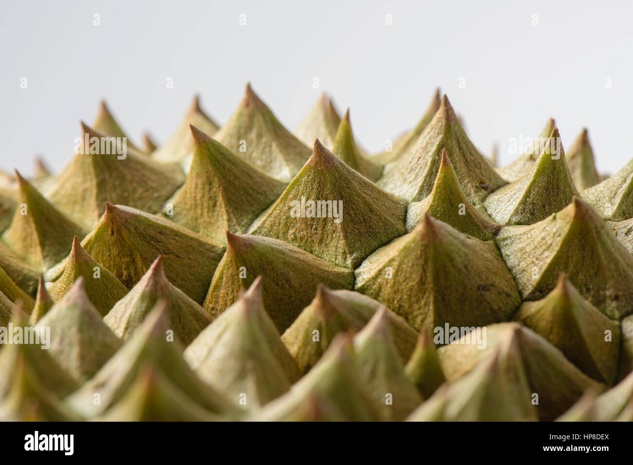 abstrakte Closeup Dorn der Durian-Frucht Stockfoto
