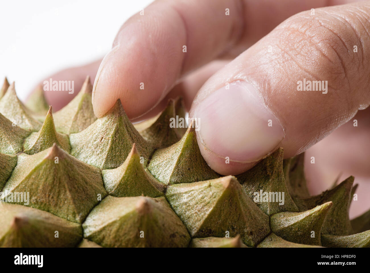 Wahl Reife Durian durch Verwendung des Fingers zusammendrücken zwei Dornen Stockfoto