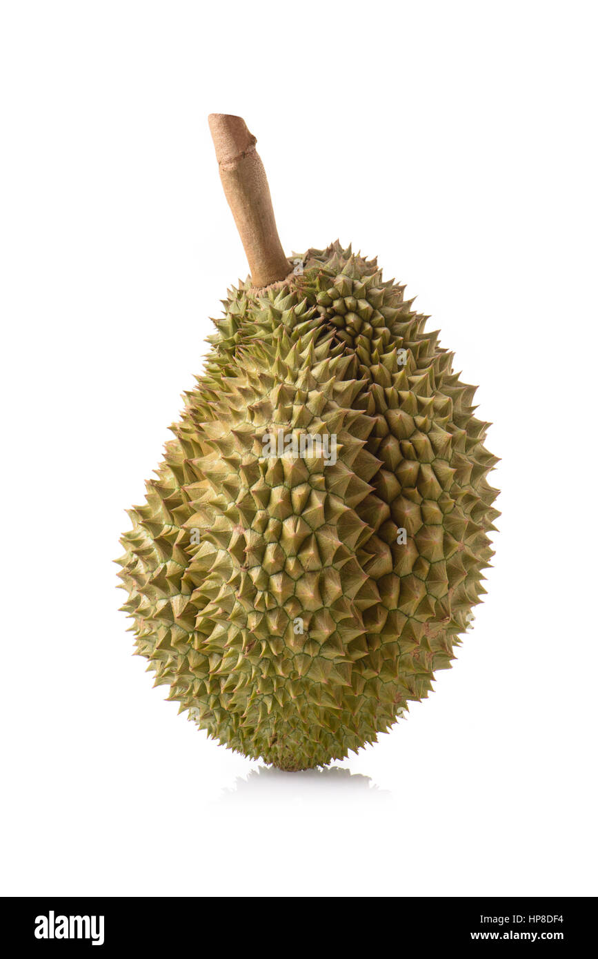 Mon Thong Durian Frucht isoliert auf weißem Hintergrund Stockfoto