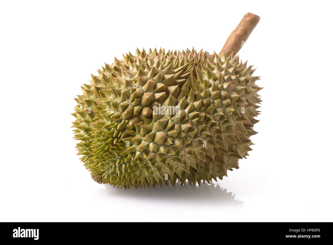 Mon Thong Durian Frucht isoliert auf weißem Hintergrund Stockfoto