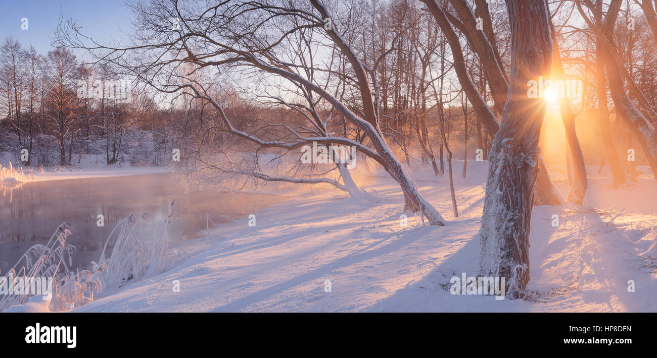 Winter-Sonnenaufgang im Wald. Frosy Morgen im Park. Winter Hintergrund mit Sonnenstrahlen. Sonne durch die Bäume am Whie Schnee. Stockfoto