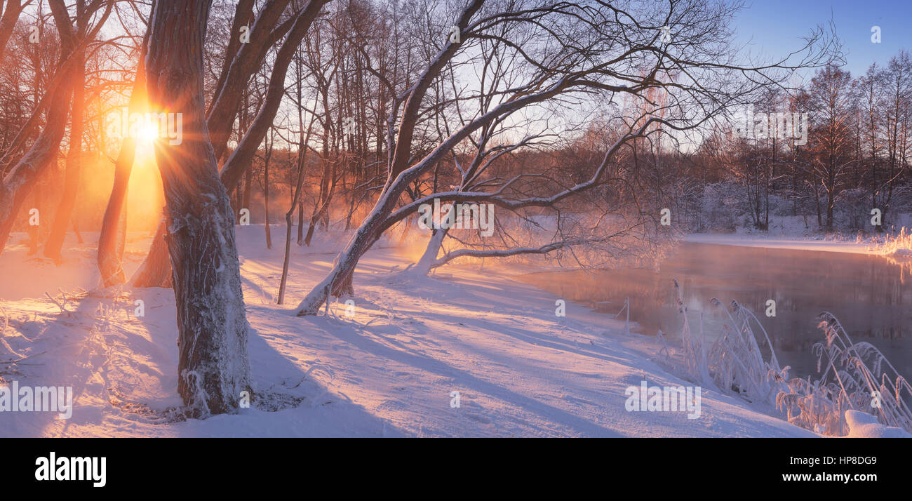 Morgen-Winter-Szene. Panorama von Winter Sunrise. Frostiger Sonnenaufgang am Flussufer. Landschaft mit hellem Sonnenlicht. Inter-Kulisse mit Sonnenstrahlen. Stockfoto