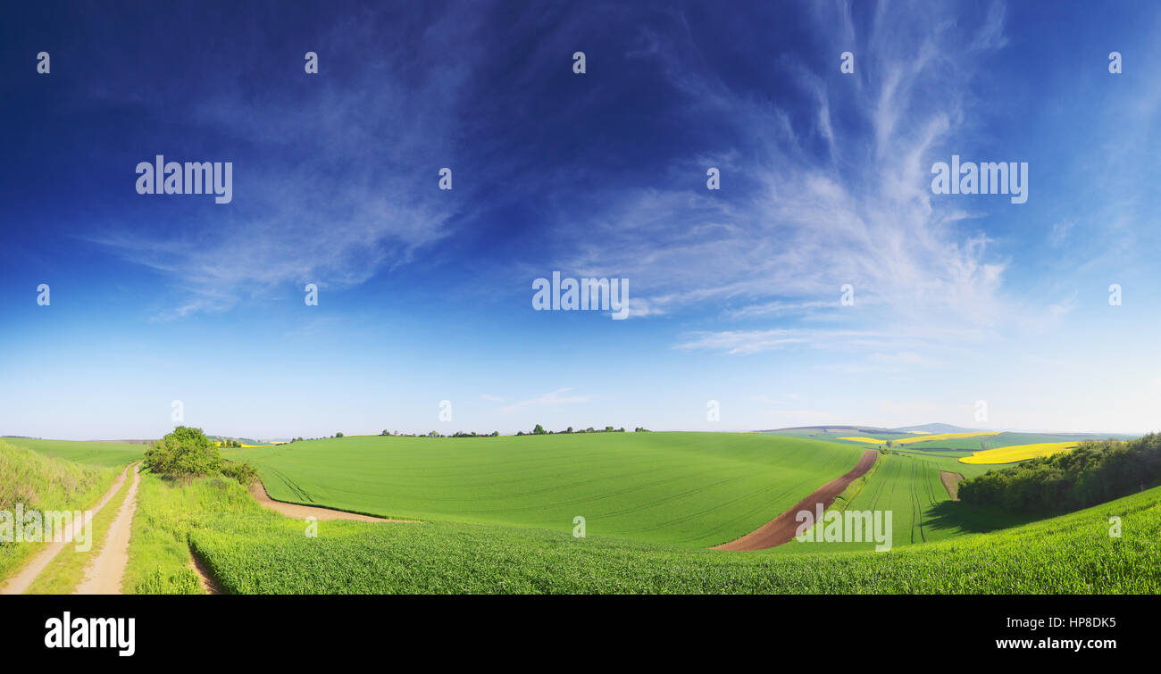 Blauen Frühlingshimmel. Grüne Feder Rasen. Frühling Landschaft der grünen Wiese. Weiße Wolken am blauen Himmel. Farbigen Hintergrund mit grünen Wiese. Stockfoto