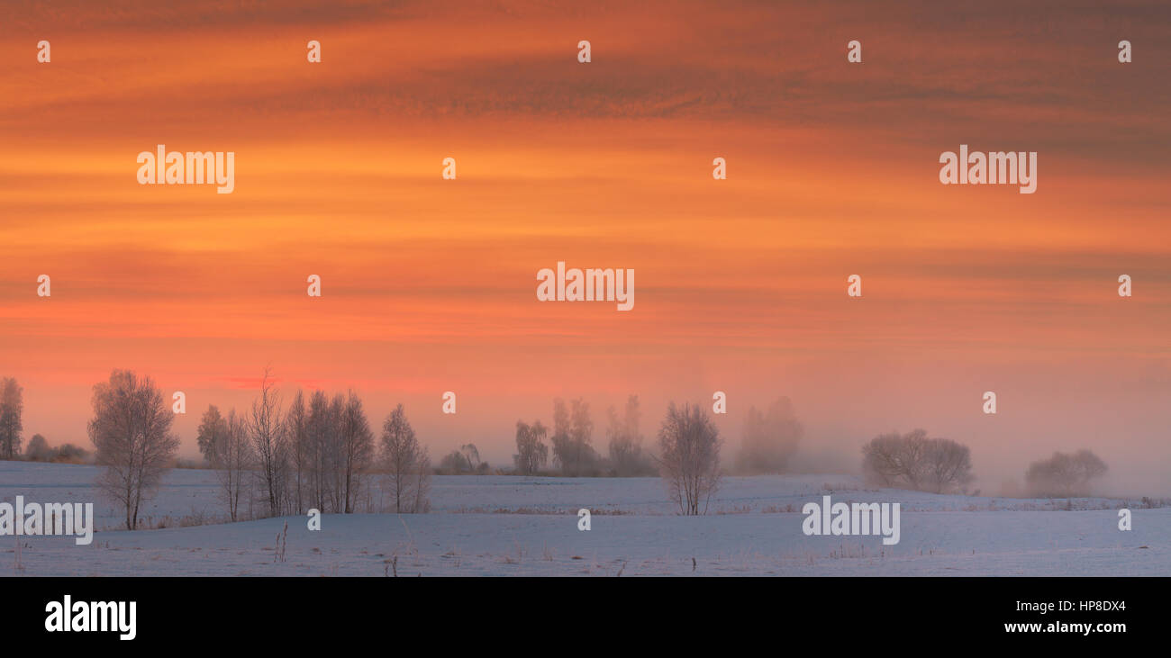 Winterhimmel über schneebedecktes Feld. Panorama der Winter Dämmerung. Rote Wolken im morgendlichen Sonnenlicht. Frostigen Winter Sunrise. Bunte Winter Hintergrund. Stockfoto