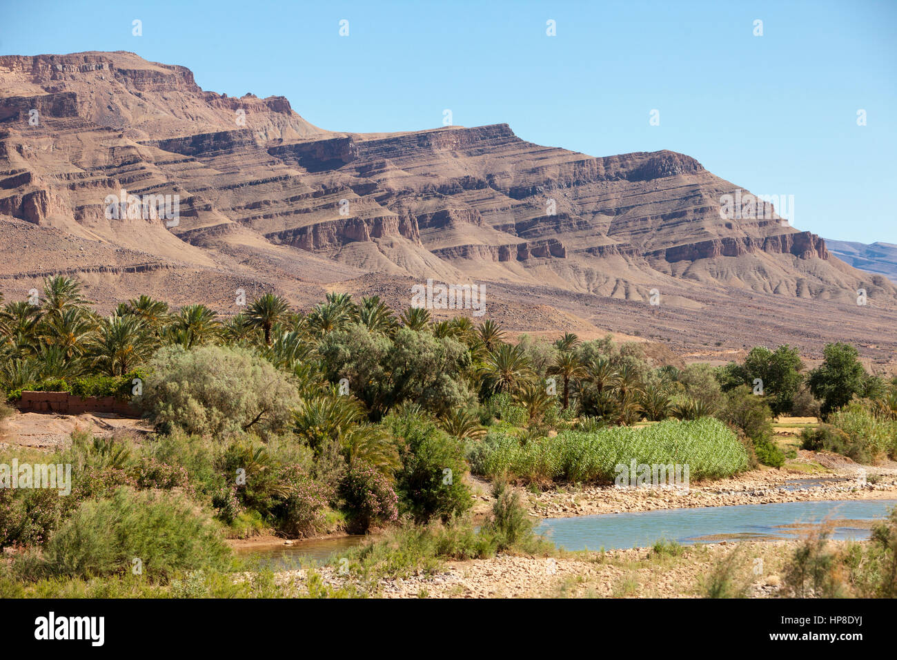 Draa River Valley Szene, Marokko, in der Nähe von Zagora. Stockfoto