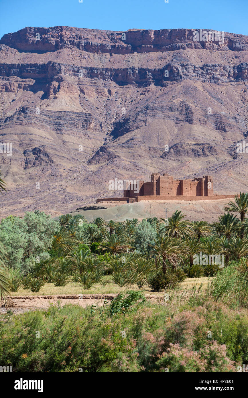 Draa River Valley Szene, Marokko.  Ksar (Kasbah) Tamnougalt, in der Nähe von Agdz. Stockfoto