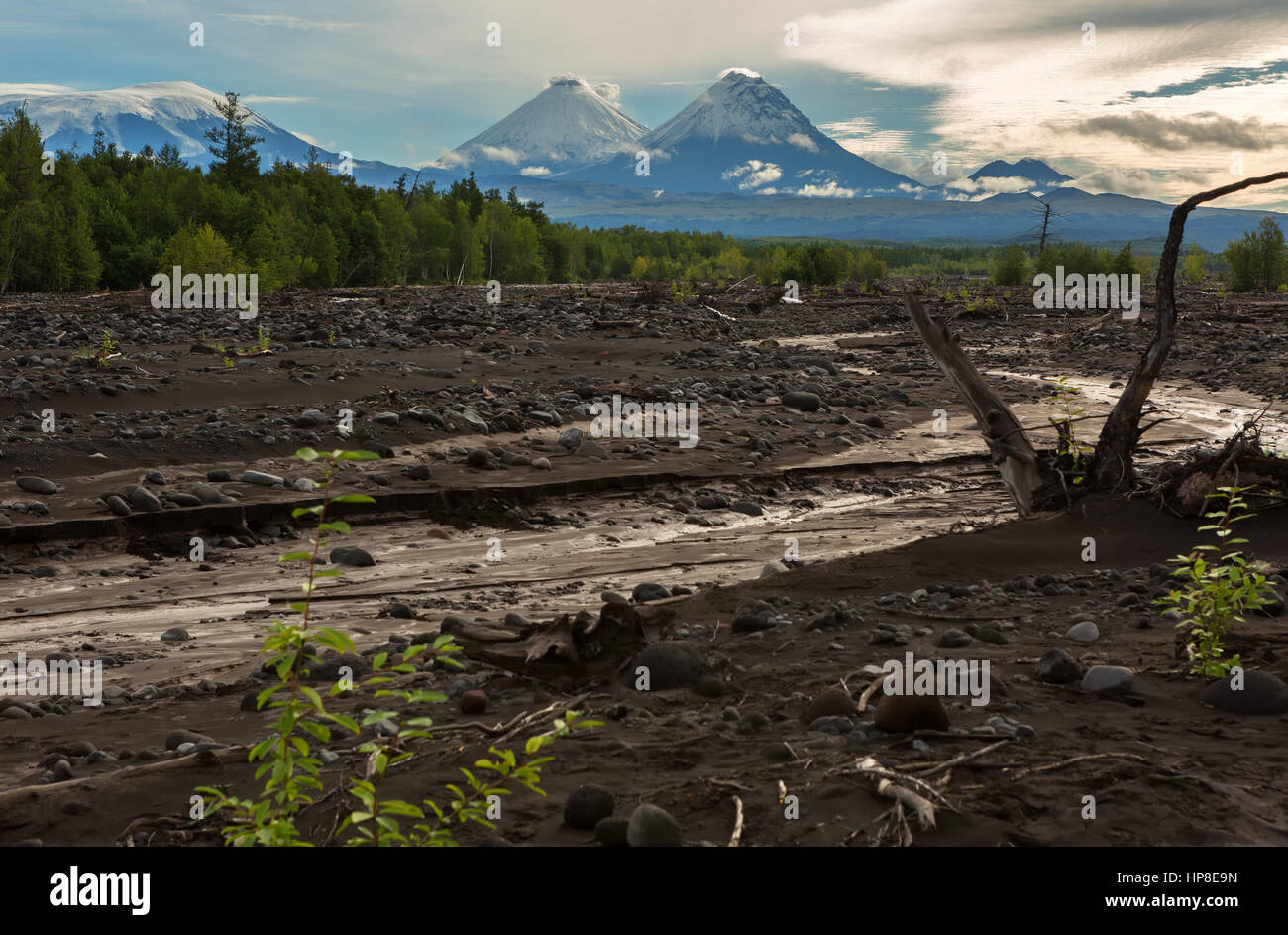 Blick auf Vulkane: Klyuchevskaya Sopka, Besymjanny, Kamen vom Fluss Studenaya in der Morgendämmerung. Kamtschatka-Halbinsel. Stockfoto
