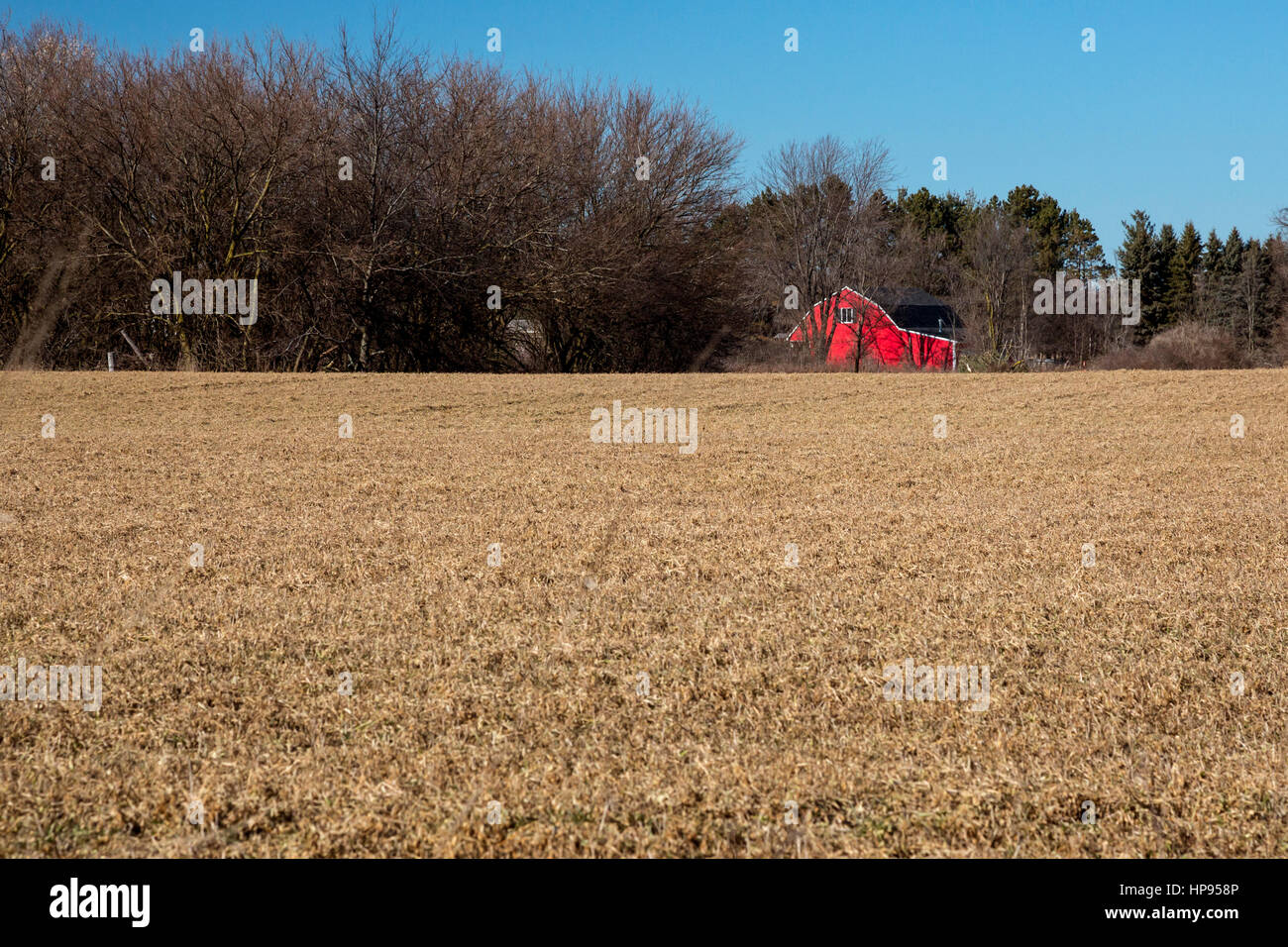 Armada, Michigan - eine rote Scheune auf einem Bauernhof. Stockfoto