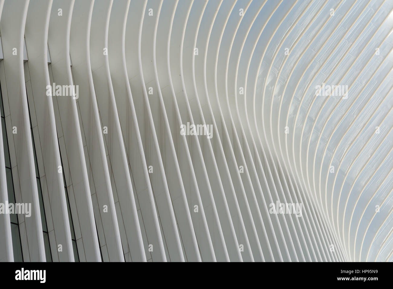 Eine Nahaufnahme der gerippten Flügel des Oculus World Trade Center Transportation Hub in New York City. Stockfoto