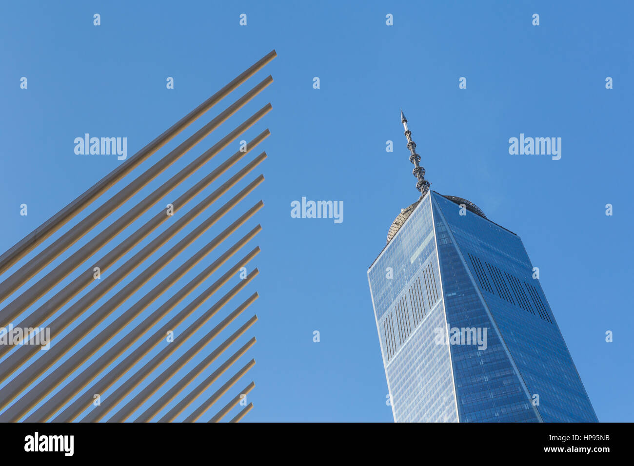 Die gerippten Flügel des Oculus World Trade Center Transportation Hub Kontrast mit One World Trade Center (Freedom Tower) in New York City. Stockfoto