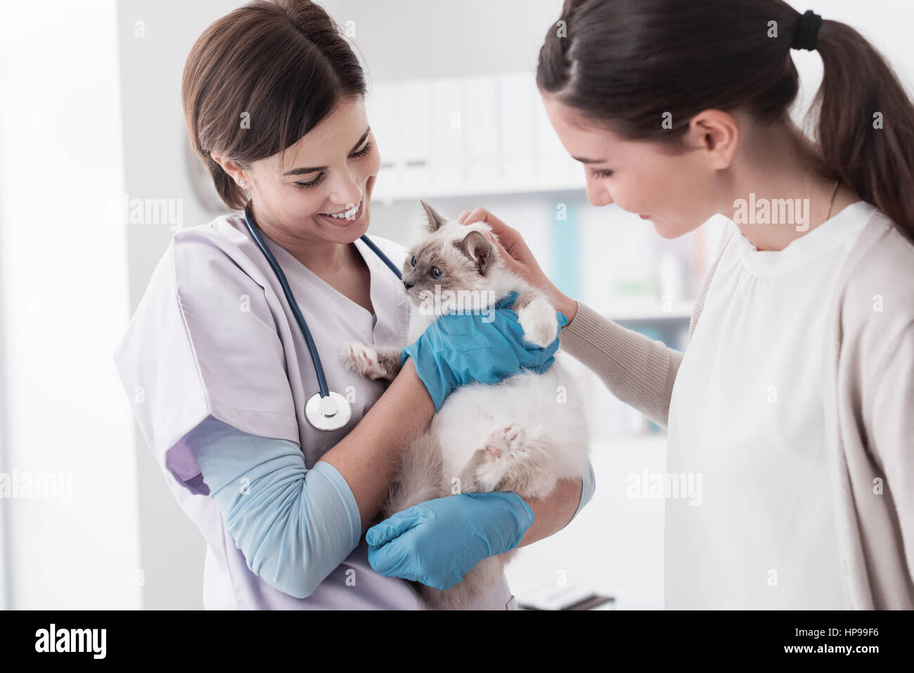 Lächeln professionelle Tierarzt hält eine schöne Katze nach Prüfung, ist der Tierbesitzer ihre Katze kuscheln. Stockfoto