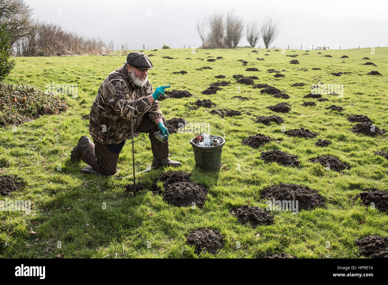 14.02.17 Calderdale, Yorkshire - Albert Morton, professionelle Molecatcher - Calderdale, West Yorkshire Stockfoto