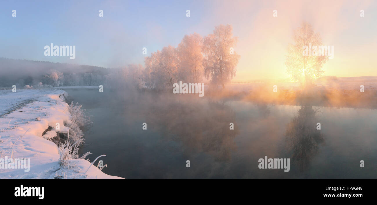 Neblig Winterlandschaft. Aufgehenden Sonne scheint durch die Bäume. Winter-Thema mit Sonnenstrahlen. Stockfoto