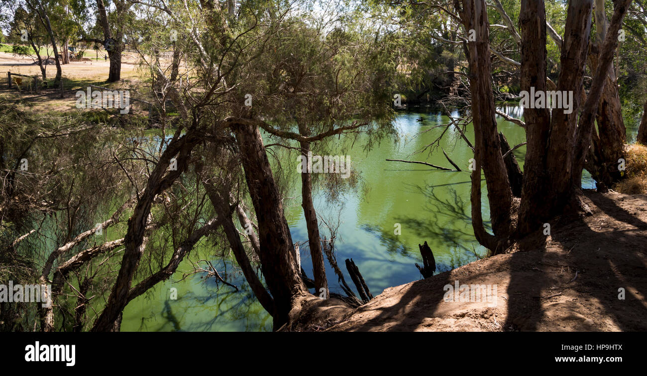 Swan River View in Maali Bridge Park, Swan Valley Wein Region, Western Australia Stockfoto