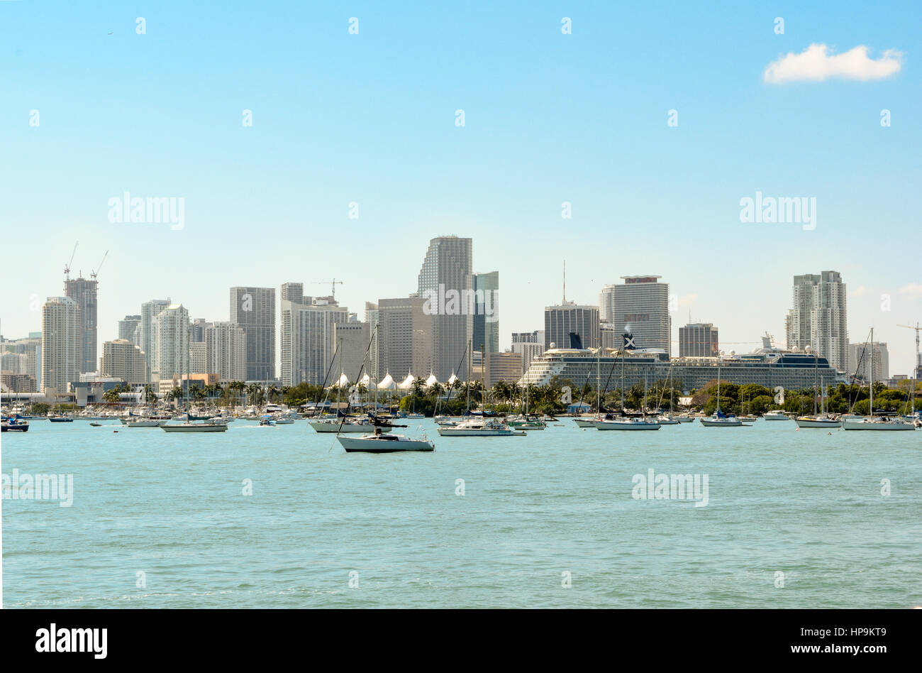 Skyline von Miami aus dem Wasser Stockfoto