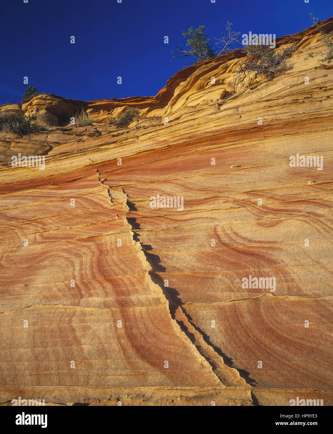 Risse in Sandsteinfelsen, USA Stockfoto