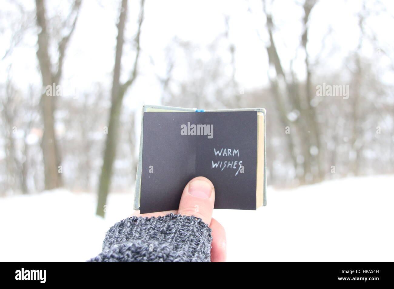 Herzliche Grüße, Mann, hält ein Buch mit der Aufschrift Stockfoto