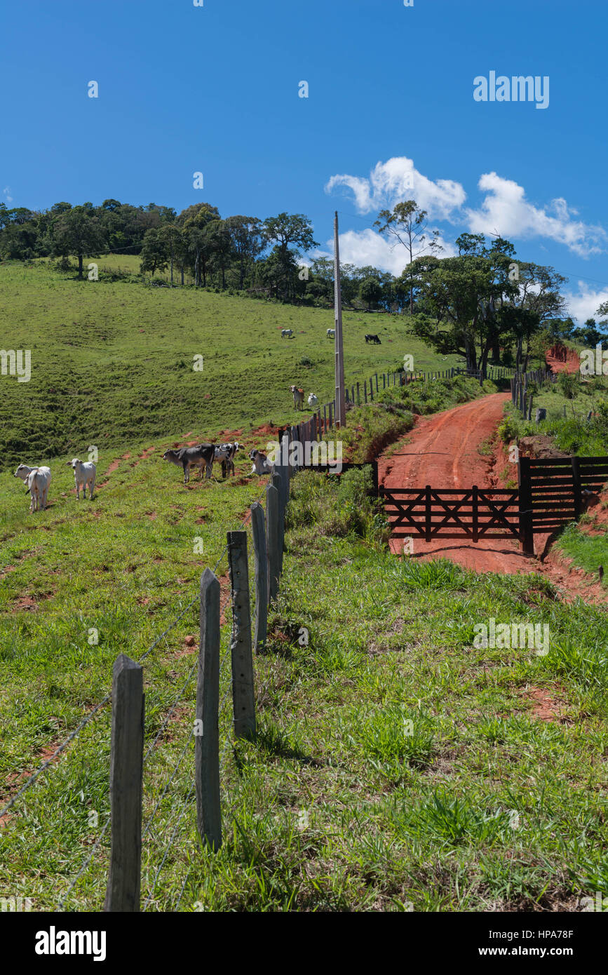 Serra da Mantiqeuira, bergige Landschaft zwischen Monte Verde und Camanducaia, Bundesstaat Minas Gerais, Brasilien, Südamerika Stockfoto