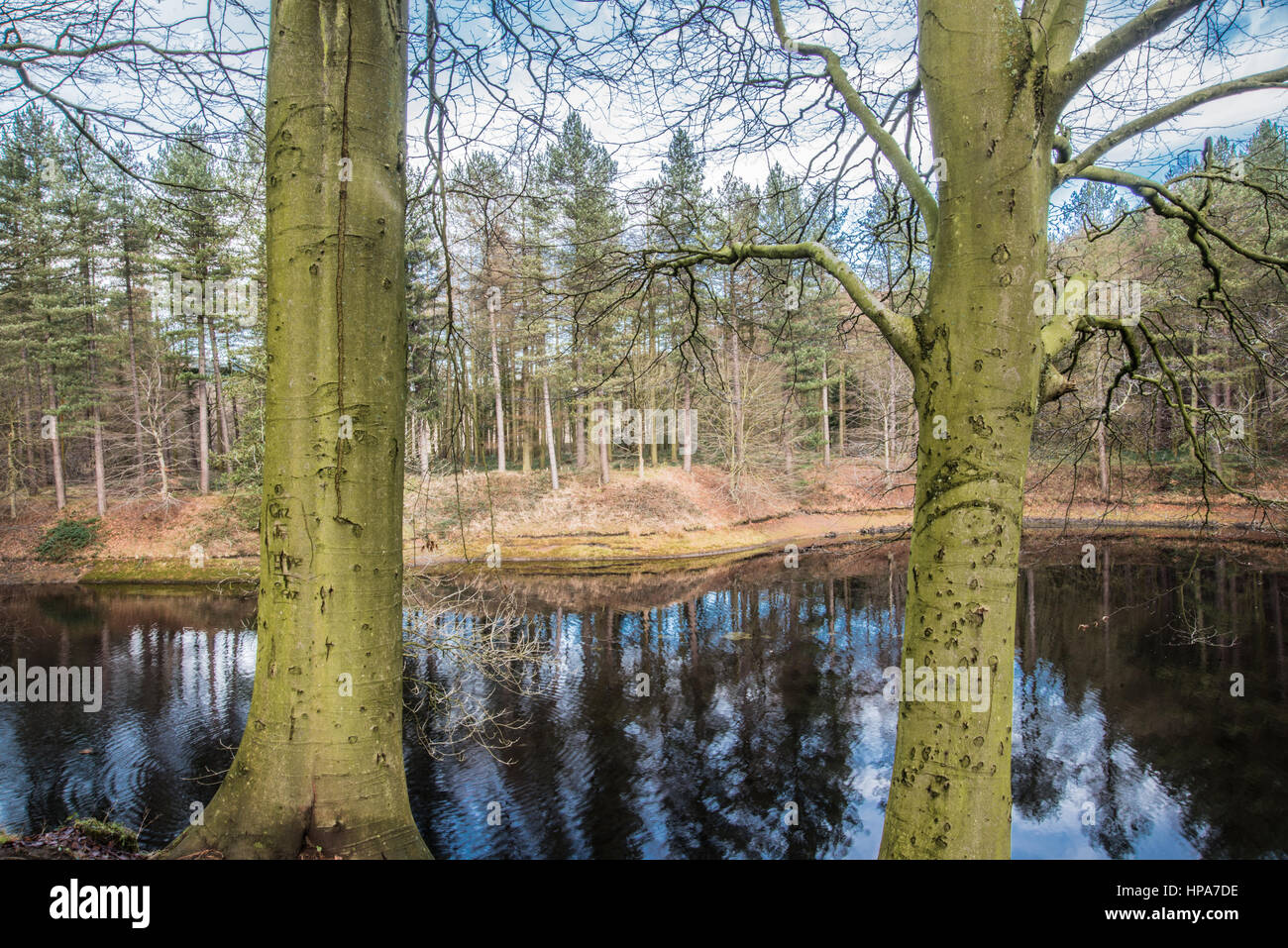 Fluss unter dem Derwent Derbyshire Stockfoto