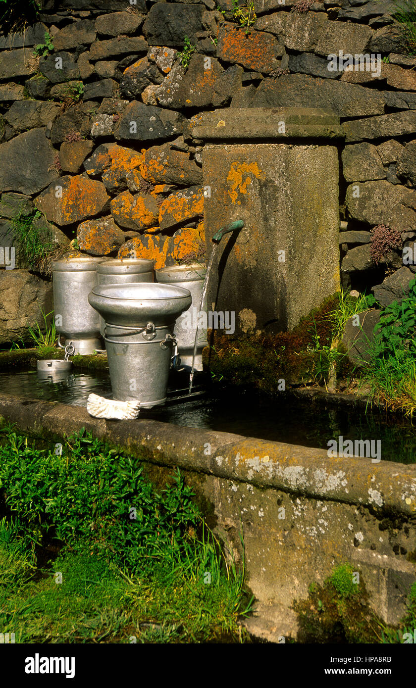 Milchdosen in der Nähe eines Brunnens, Puy de Dome, Auvergne Rhone Alpes, Frankreich Stockfoto