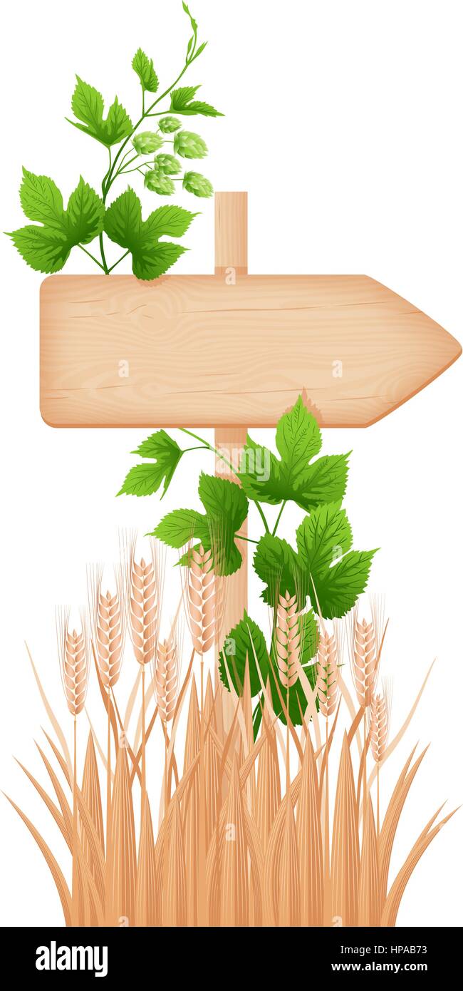 Hölzerne Pfeil Schild mit Ästen und Rissen an einem Mast, Hop Zweig und Gerste Ohren Vektor-illustration Stock Vektor