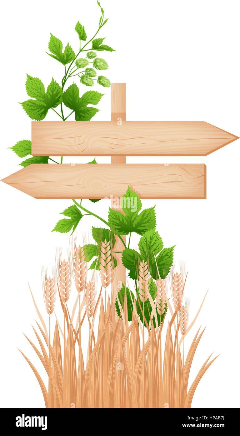 Aus Holz zwei Pfeile Schild mit Ästen und Rissen an einem Mast, Hop Zweig und Gerste Ohren Vektor-illustration Stock Vektor