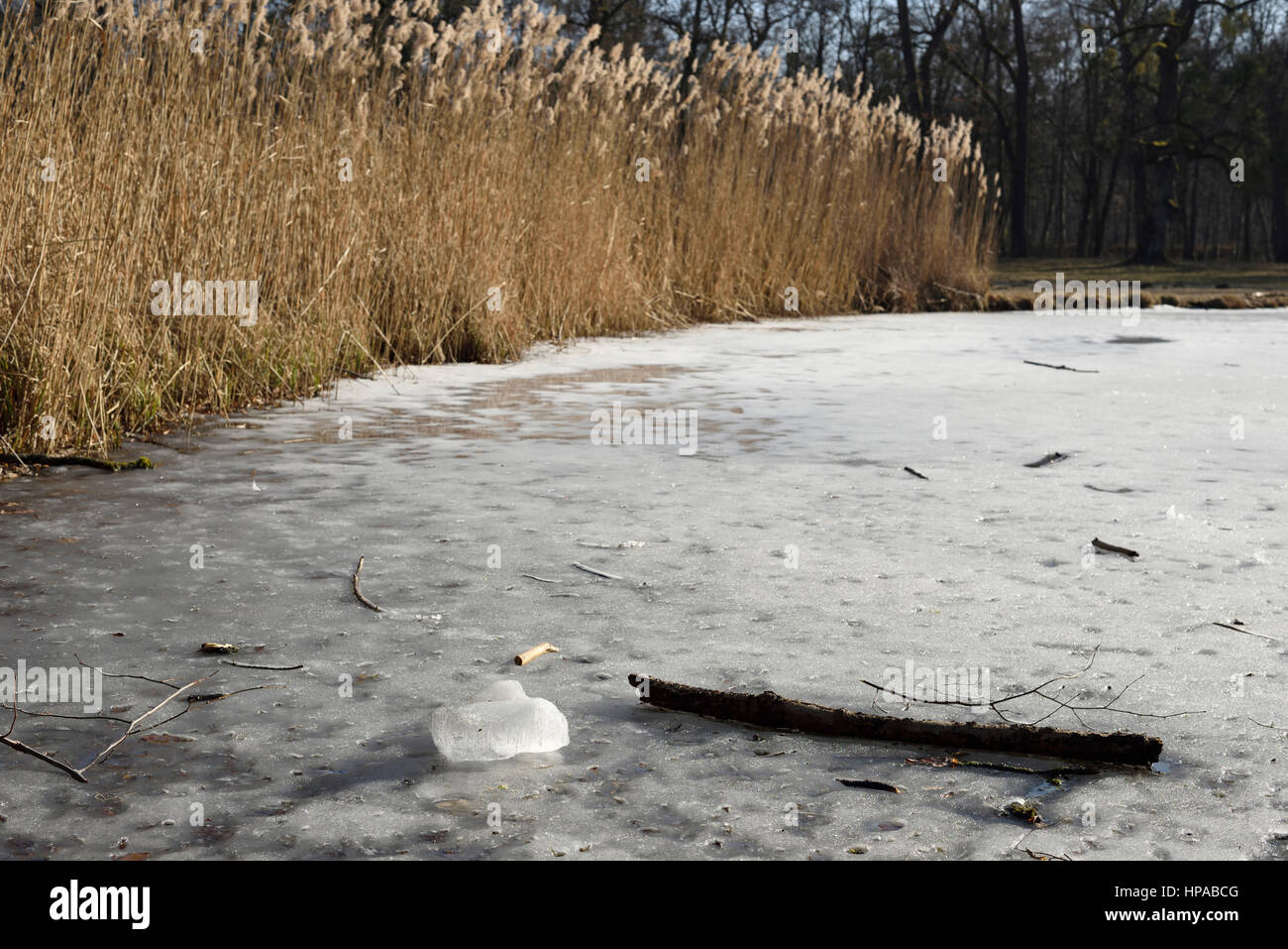 Zugefrorenen See an einem sonnigen Tag an der Oberfläche zu schmelzen beginnen Stockfoto