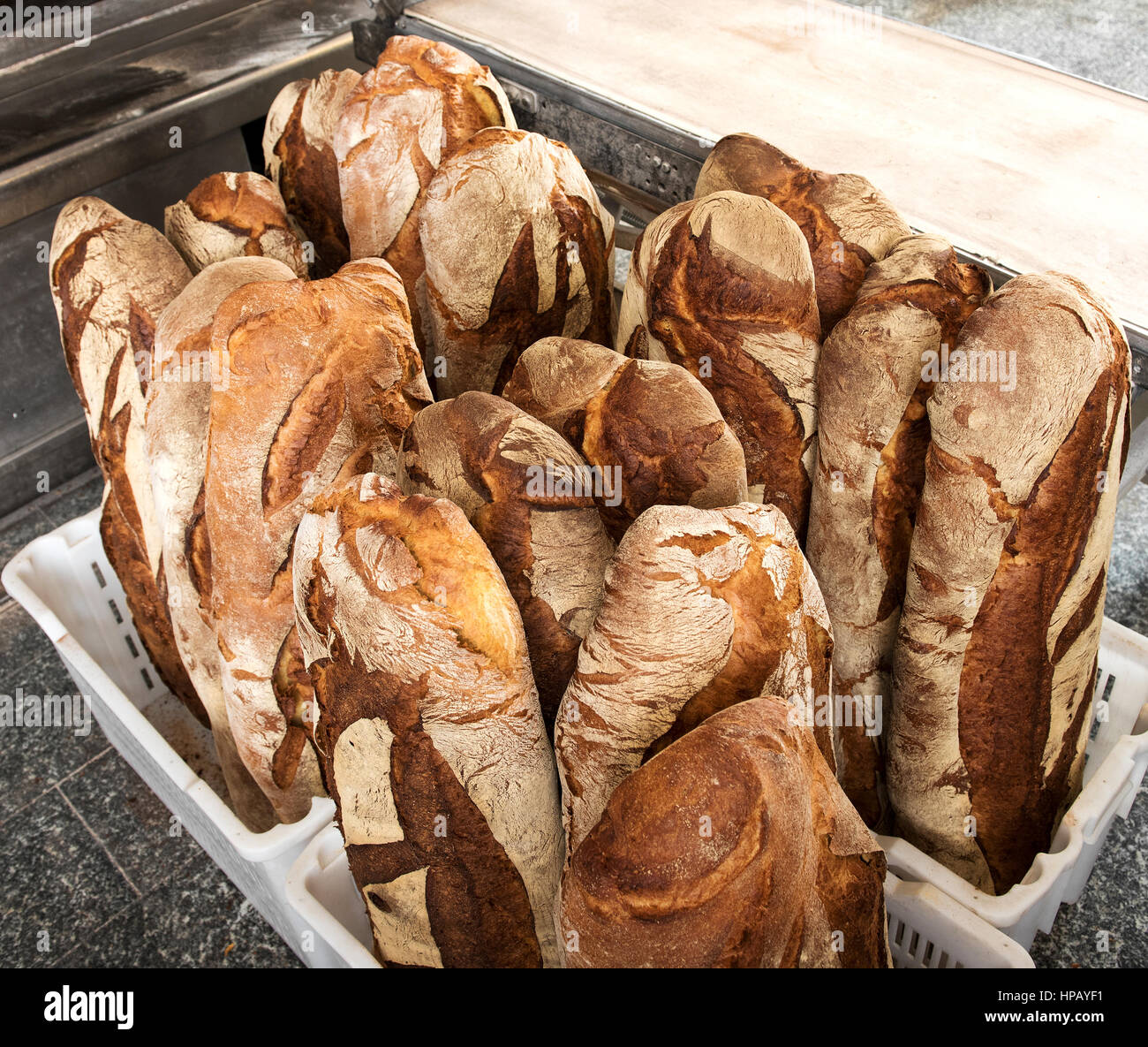 Reihe von Schwarzbrot große Brote frisch aus Ofen in Bäckerei in Körbe aus Kunststoff Stockfoto