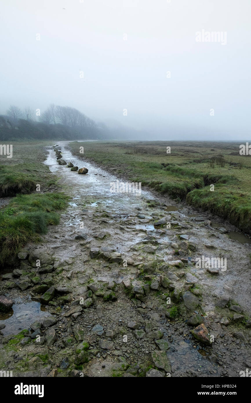 UK Wetter nebligen Tag. Wanderweg; Maultierweg Gannel Mündung Newquay Cornwall Stockfoto