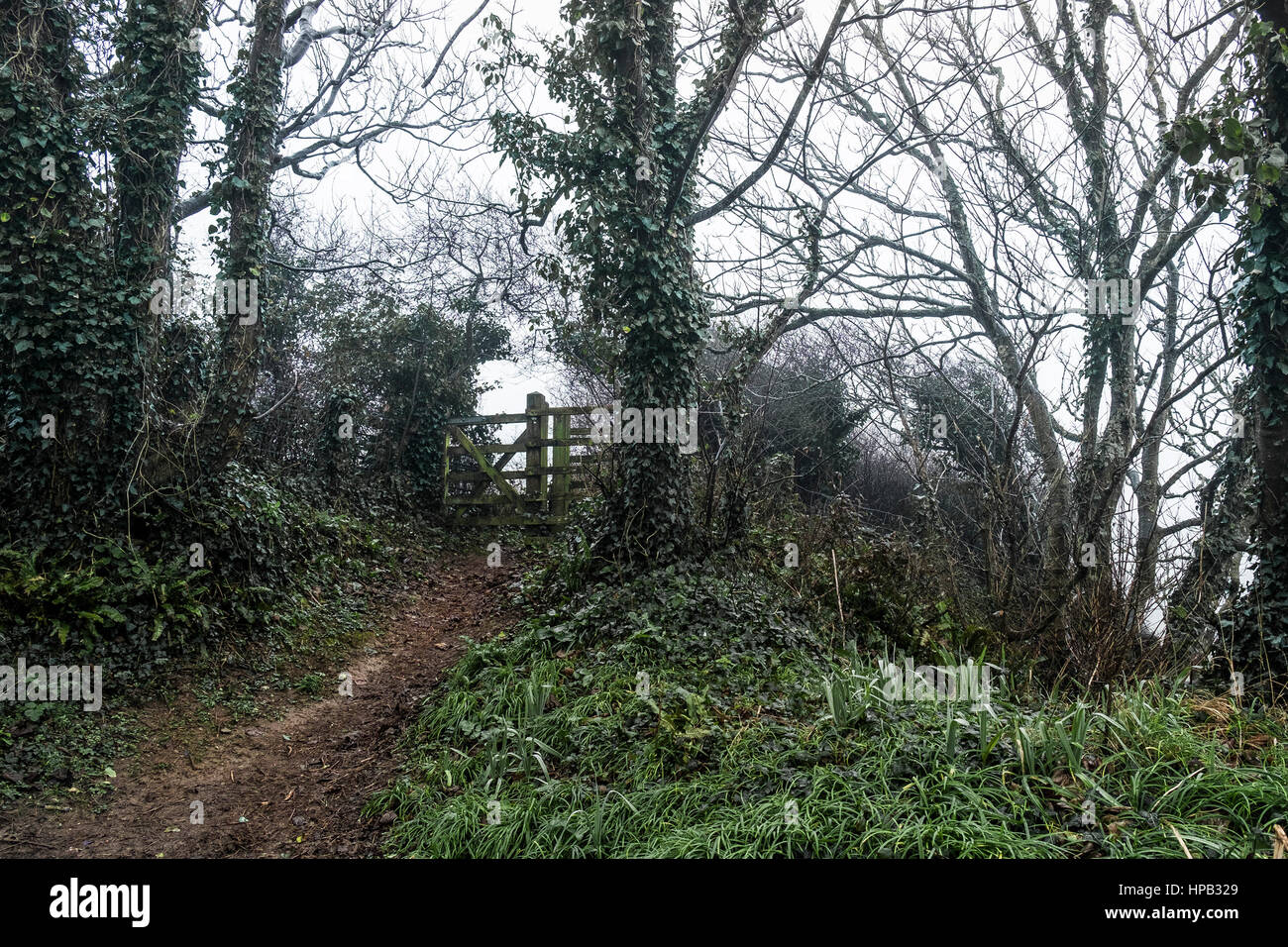 Nebliger Tag Wanderweg Tor Newquay Cornwall UK Wetter Stockfoto