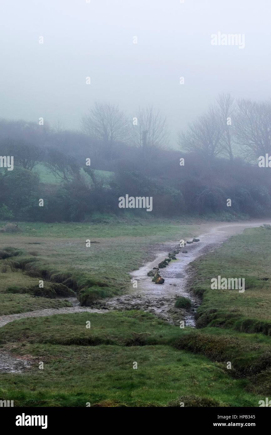 UK Wetter nebligen Tag. Gannel Mündung Newquay Cornwall Stockfoto