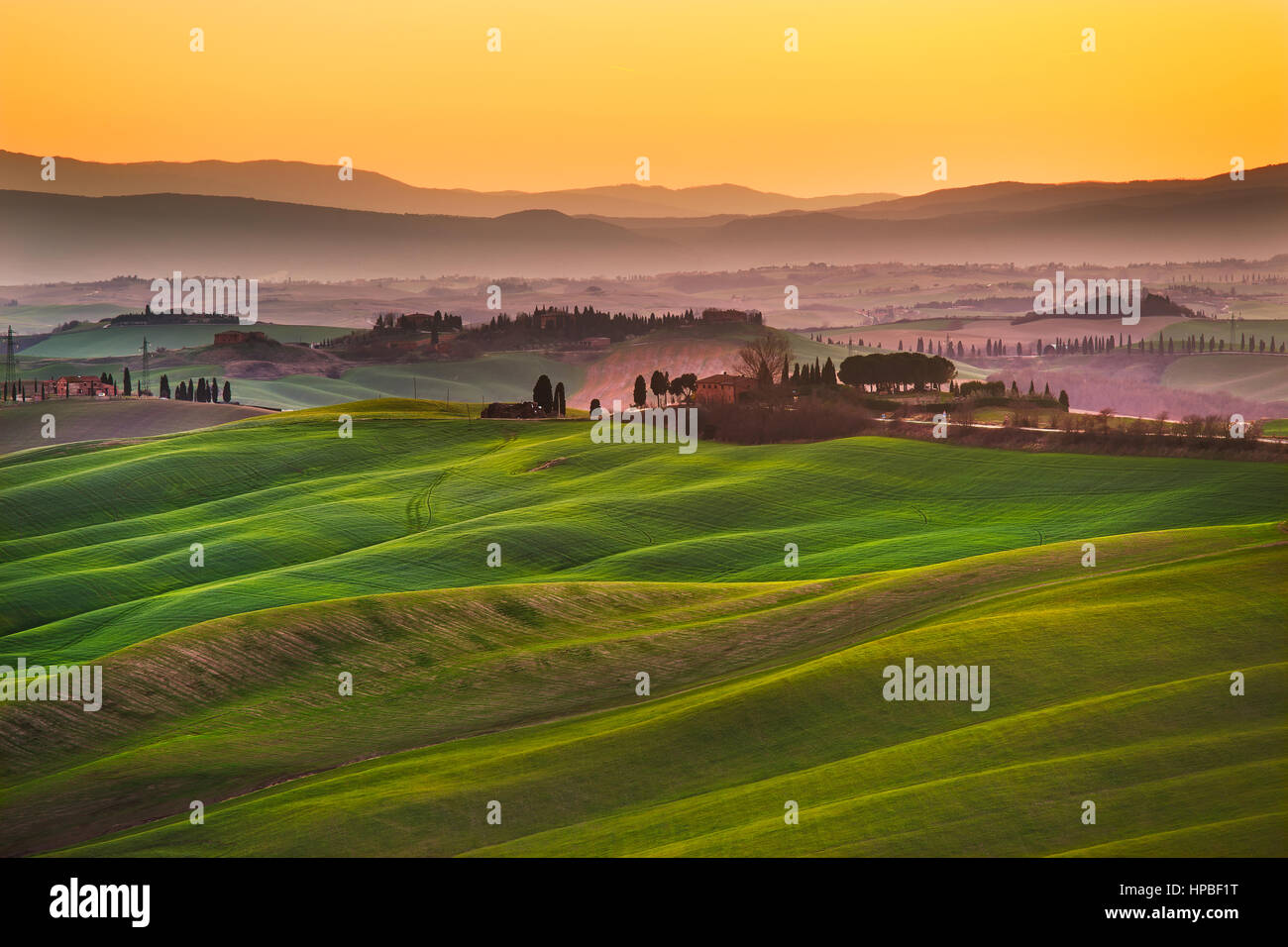 Toskana, sanfte Hügel im Sonnenuntergang. Landschaft der Crete Senesi und Sonnenlicht. Grüne Felder, ein Hof mit Bäumen. Siena, Italien Stockfoto
