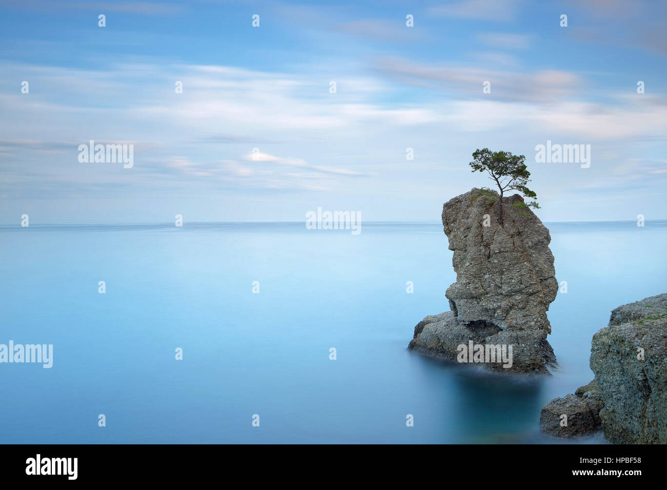 Regionaler Naturpark Portofino. Einsame Kiefer Baum Rock und Küsten Klippe Strand. Langzeitbelichtung Fotografie. Ligurien, Italien Stockfoto